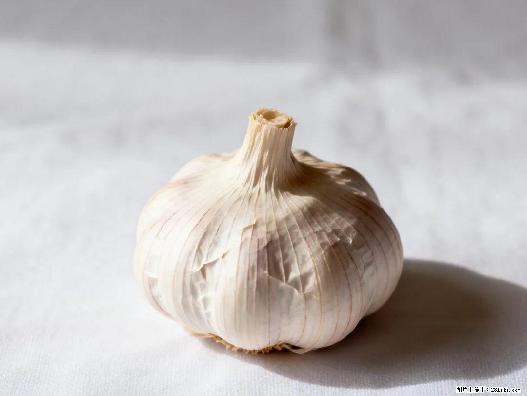 关于大蒜，除了“天然抗生素”，这4个谣言更该警惕! - 禹州生活资讯 - 禹州28生活网 yuzhou.28life.com