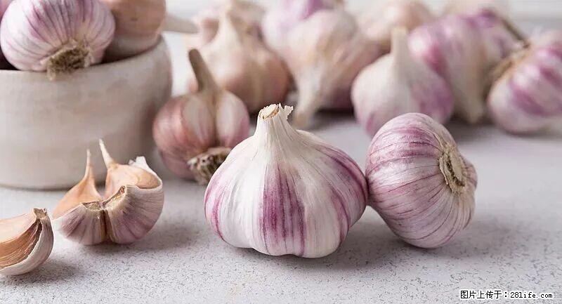抗菌消炎、护肝健脾！这种“天然青霉素”就在你家餐桌上，春季吃正合适 - 禹州生活资讯 - 禹州28生活网 yuzhou.28life.com